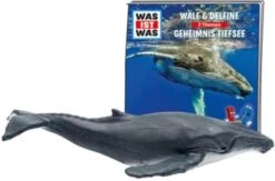 Spielzeugladen 23 Spielzeugladen -Spielzeugladen 12460960 02