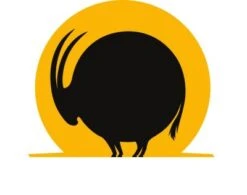 UNI-TOYS® ROLLIN' WILD - Krokodil, Groß - 37 Cm (Länge) - Plüschtier Von Uni-Toys Kuscheltiere 5 UNI-TOYS® ROLLIN' WILD - Krokodil, Groß - 37 Cm (Länge) - Plüschtier Von Uni-Toys Kuscheltiere -Spielzeugladen 23520332 04