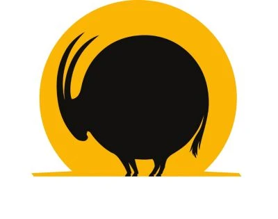 UNI-TOYS® ROLLIN' WILD - Krokodil, groß - 37 cm (Länge) - Plüschtier von Uni-Toys Kuscheltiere UNI-TOYS® ROLLIN' WILD - Krokodil, Groß - 37 Cm (Länge) - Plüschtier Von Uni-Toys Kuscheltiere -Spielzeugladen 23520332 04