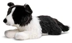UNI-TOYS® Border Collie Schwarz-weiß, Liegend (ohne Geschirr) - 64 Cm (Länge) - Plüsch-Hund - Plüschtier Kuscheltiere 4 UNI-TOYS® Border Collie Schwarz-weiß, Liegend (ohne Geschirr) - 64 Cm (Länge) - Plüsch-Hund - Plüschtier Kuscheltiere -Spielzeugladen 24283013 03
