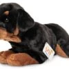 UNI-TOYS® Rottweiler, Liegend - 39 Cm (Länge) - Plüsch-Hund - Plüschtier Kuscheltiere 1 UNI-TOYS® Rottweiler, Liegend - 39 Cm (Länge) - Plüsch-Hund - Plüschtier Kuscheltiere -Spielzeugladen 29153949 01