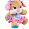Fisher Price Fisher-Price Lernspaß Hundefreundin, Baby-Spielzeug, Kuscheltier, Lernspielzeug -Spielzeugladen 7515836 01